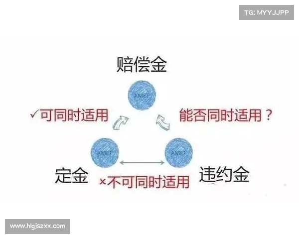 违约金制度的法律性质、适用范围及其在合同履行中的作用分析